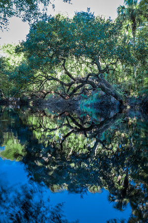 Hillsborough River State Park, Tampa Florida